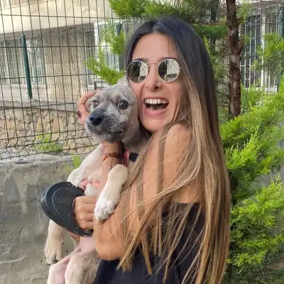 Dog Boarding in Austin TX
