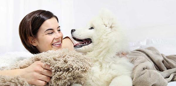 dog-boarding-in-the-pet-sitter-home Dog Boarding in the pet sitter's home